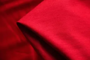 Remnant of Bamboo Jersey Knit - Dyelot Red (250gsm)